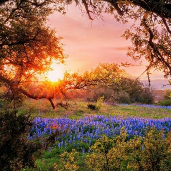 Meet your poshers, Margaret and Raul - Picture 3 of 4